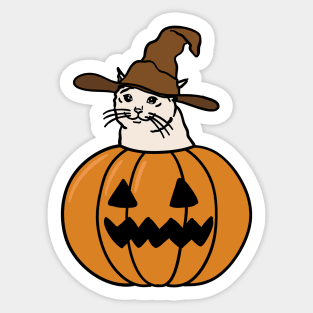 Crying Cat Meme In Pumpkin For Halloween Sticker